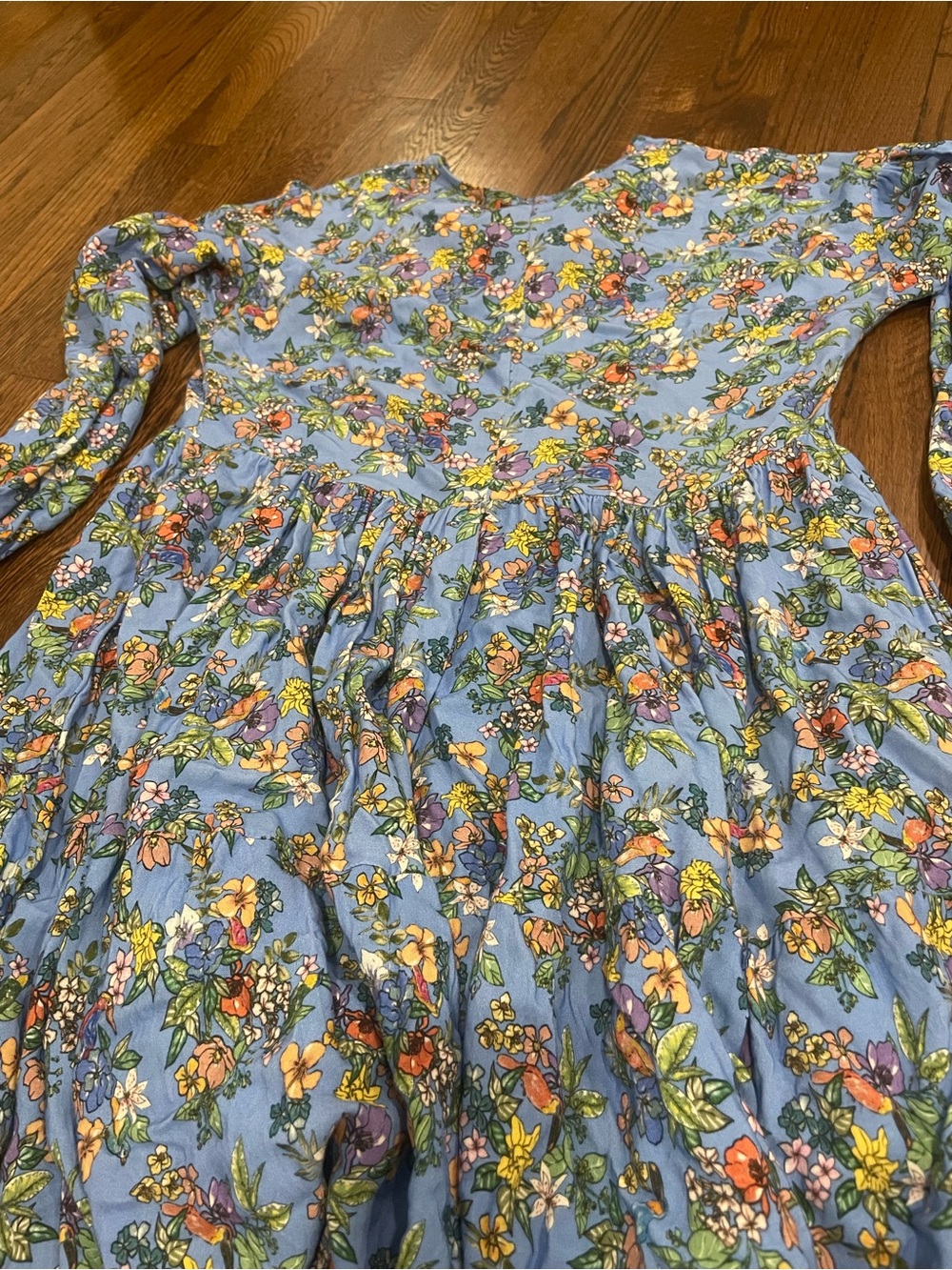 Women's Floral Long-Sleeve Midi Dress in Blue